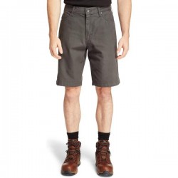 SHORT TIMBERLAND GRIS